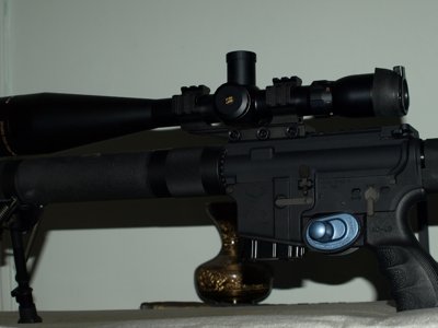 lepigeon_1328491634_ar15_2.jpg