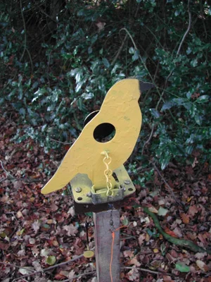 wiki_disciplines_field_target_cible.jpg
