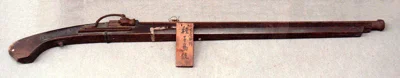 wiki_disciplines_mlaic_tanegashima.jpg